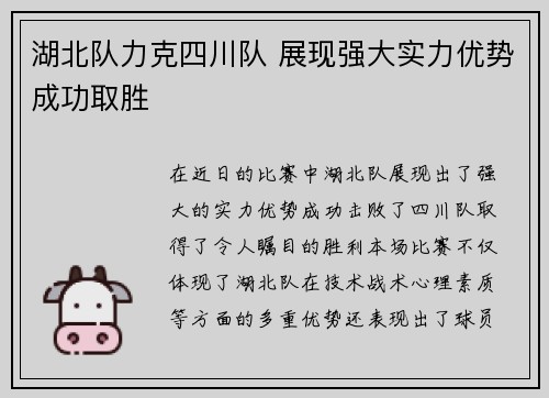 湖北队力克四川队 展现强大实力优势成功取胜