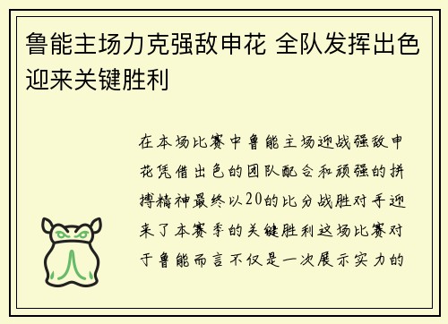 鲁能主场力克强敌申花 全队发挥出色迎来关键胜利